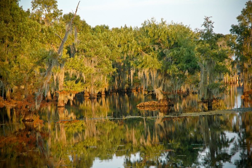 Lake Bistineau State Park, Louisiana, USA